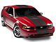 SEC10 GT500 Style Stripes; Matte Black; 10-Inch (94-04 Mustang)