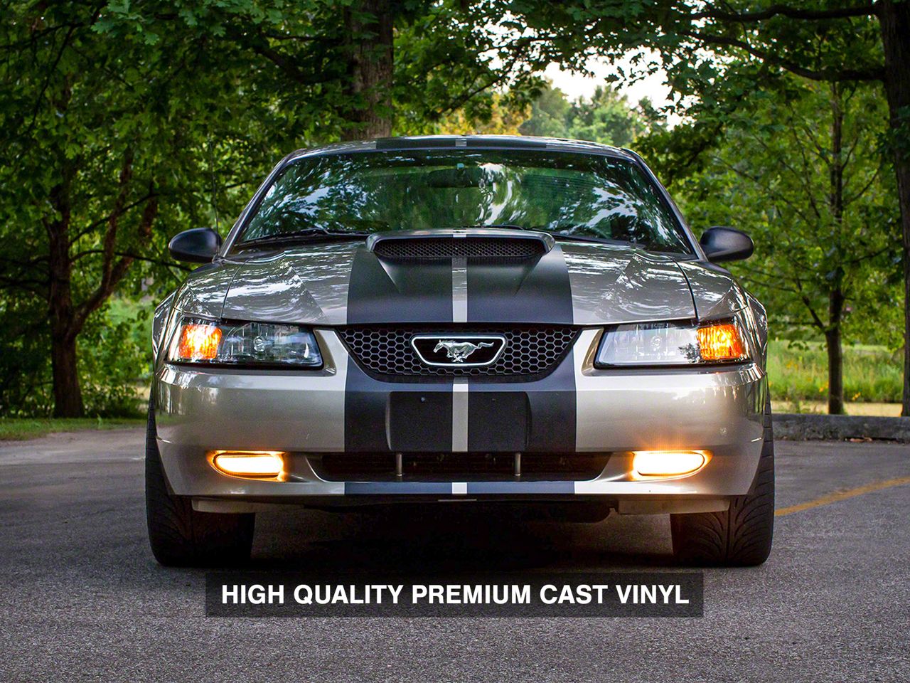 SEC10 Mustang GT500 Style Stripes; Matte Black; 10-Inch