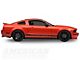 19x8.5 Niche Targa Wheel & NITTO High Performance INVO Tire Package (05-14 Mustang)