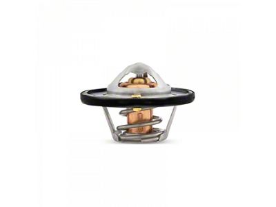 Mishimoto Racing Thermostat; 165-Degree (06-10 Charger)