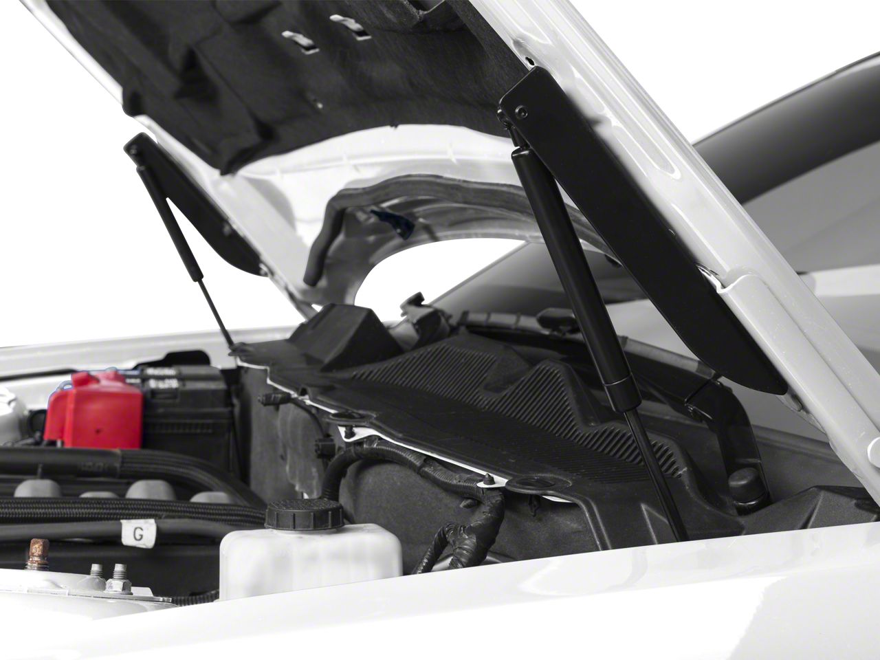 MMD Mustang Bolt On Hood Strut Kit; Black 41282 (10-14