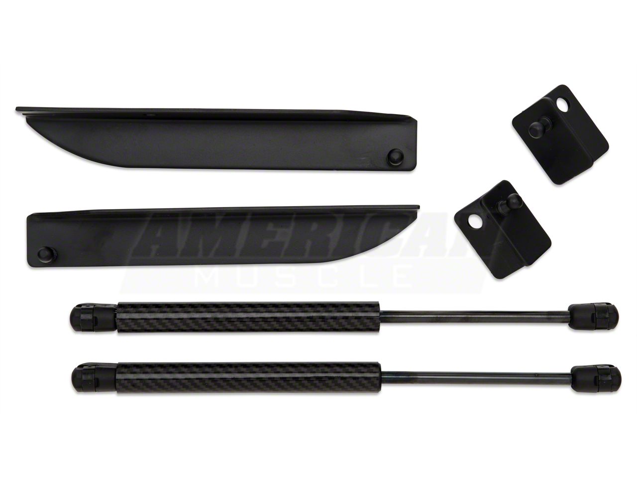 MMD Mustang Bolt On Hood Strut Kit; Carbon Fiber 100336 (05