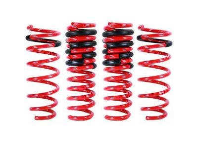 Mookeeh MK1 Premium Lowering Springs (06-10 Charger)