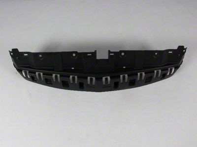 Mopar Bumper Insert; Front; Sight Shield (11-14 Charger)