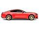 Motegi CM10 Rally Gold Wheel; 19x8.5 (15-23 Mustang GT, EcoBoost, V6)