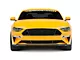 MP Concepts Lower Grille; Black (18-23 Mustang GT, EcoBoost)
