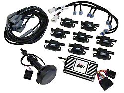 MSD Ignition Conversion Kit (1995 Mustang Cobra R)