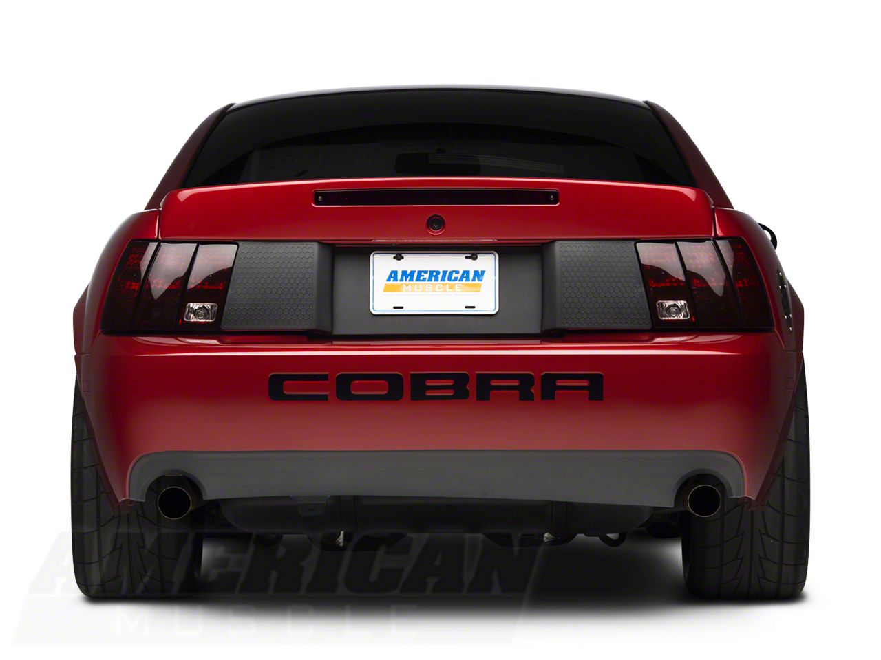 Polished Stainless Rear Bumper Inserts – Ford Cobra 1999-2002, FREE SHIPPING