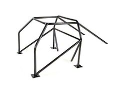 10-Point Roll Cage; Chrome-Moly (05-14 Mustang)