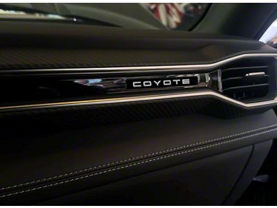 Aluminum Dash Plate; Coyote (2024 Mustang)