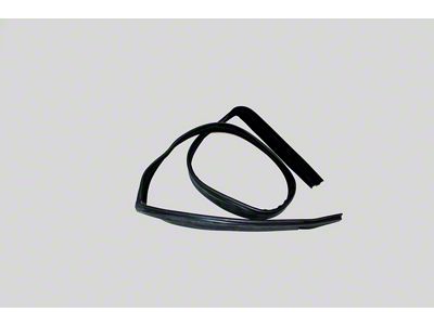 Complete Glass Run Window Channel; Passenger Side (83-93 Mustang Hardtop)