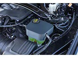 Coolant Tank Cover (2024 Mustang)