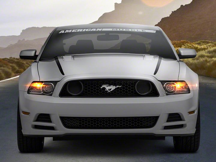 American Muscle