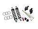 Aldan American Road Comp Series Double Adjustable Rear Coil-Over Kit; 120 lb. Spring Rate (79-04 Mustang, Excluding 99-04 Cobra)