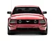 DR Style Front Bumper Lip Splitter; Dry Carbon Fiber Vinyl (05-09 Mustang GT, V6)