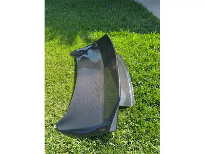 DuckTail Trunk; Carbon Fiber (15-23 Mustang Fastback)
