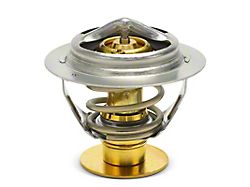 Engine Coolant Thermostat; 190 Degree (11-23 Mustang GT, GT350, V6)