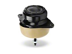Engine Mount; Front (15-22 Mustang GT w/ Performance Pack)