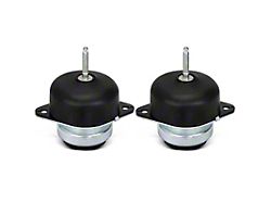 Engine Mount Kit (05-10 Mustang GT; 05-16 Mustang V6; 15-19 Mustang GT350)