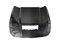 Factory Style Hood without Vent Insert; Carbon Fiber (24-25 Mustang GT, Dark Horse)