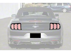 Factory Style Tail Light Bezels; Carbon Fiber (15-17 Mustang)