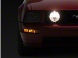 Fog Lights with Bulbs; Chrome (05-09 Mustang GT)