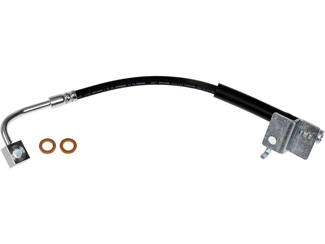 Front Brake Hydraulic Hose; Passenger Side (15-18 Mustang GT; 18-23 Mustang EcoBoost)