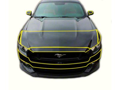 Front End Paint Protection Kit (15-17 Mustang EcoBoost, V6)