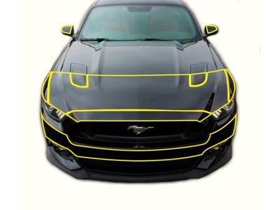 Front End Paint Protection Kit (15-17 Mustang GT)