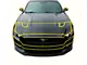 Front End Paint Protection Kit (15-17 Mustang GT)