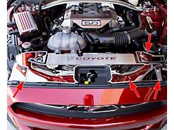 Front Header Plates with Coyote Logo; Polished with Brushed Trim; Brushed Black (15-17 Mustang GT)