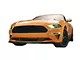 Front Lens Paint Protection Kit (18-23 Mustang GT, EcoBoost)