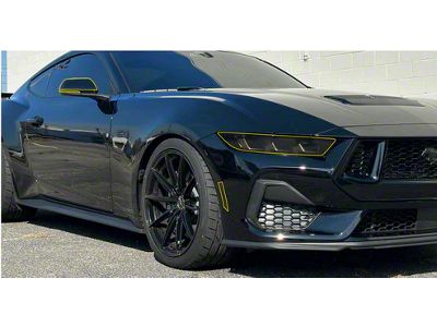 Front Lens Paint Protection Kit (2024 Mustang)