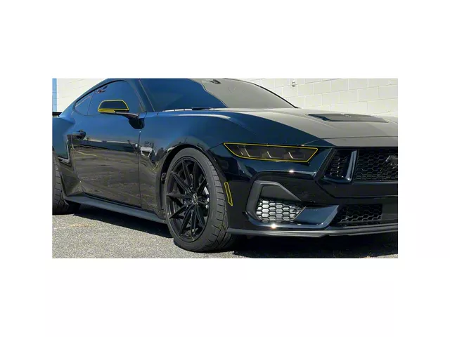Front Lens Paint Protection Kit (2024 Mustang)
