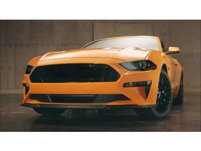 Front Lens Vinyl Tint Kit (18-23 Mustang GT, EcoBoost)