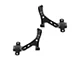 Front Lower Control Arms with Ball Joints (05-10 Mustang)