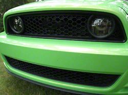 Front and Rear Lens Vinyl Tint Kit (13-14 Mustang)