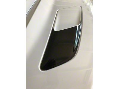 Front and Rear Lens Vinyl Tint Kit (15-20 Mustang GT350)