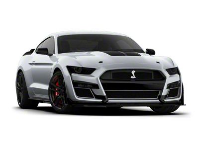 Front and Rear Lens Vinyl Tint Kit (20-22 Mustang GT500)