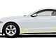 Front and Rear Quarter with Bottom Door and Behind Rear Tire Paint Protection Kit (15-23 Mustang)