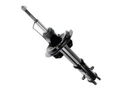 Front Strut (05-10 Mustang)