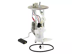 Fuel Pump and Sending Unit Assembly; Driver Side (2005 Mustang)