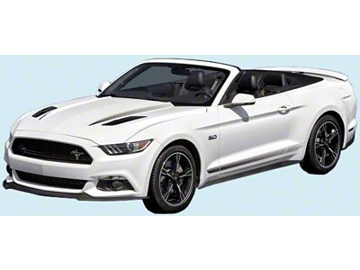 GT/CS Lower Body and Hood Stripes; Black (15-17 Mustang)