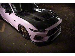GT3 Hood; Single Sided Carbon Fiber (24-26 Mustang)