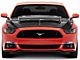 GT500 Style Hood; Carbon Fiber (15-17 Mustang GT, EcoBoost, V6)