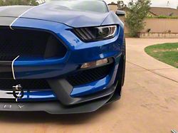 GT500 Style Splitter Winglet and Fender Extensions (15-20 Mustang GT350R)