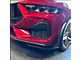 GT500 Style Splitter Winglet and Fender Extensions (2024 Mustang EcoBoost)