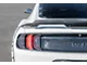 GT500 Style Wickerbill Rear Spoiler; Carbon Fiber (15-23 Mustang Fastback)