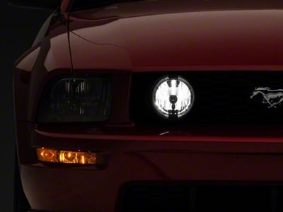 Halo Fog Lights; Clear (05-09 Mustang GT)