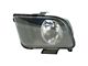 Halogen Headlights; Chrome Housing; Clear Lens (05-09 Mustang w/ Factory Halogen Headlights, Excluding GT500)